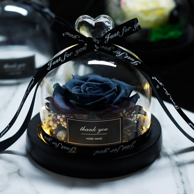 The Beauty and Beast Rose Valentines Day Gift Eternal Rose With Night Light in Glass Dome Birthday Gift