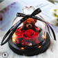 The Beauty and Beast Rose Valentines Day Gift Eternal Rose With Night Light in Glass Dome Birthday Gift