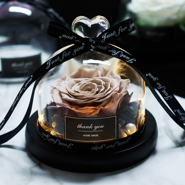 The Beauty and Beast Rose Valentines Day Gift Eternal Rose With Night Light in Glass Dome Birthday Gift