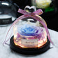 The Beauty and Beast Rose Valentines Day Gift Eternal Rose With Night Light in Glass Dome Birthday Gift