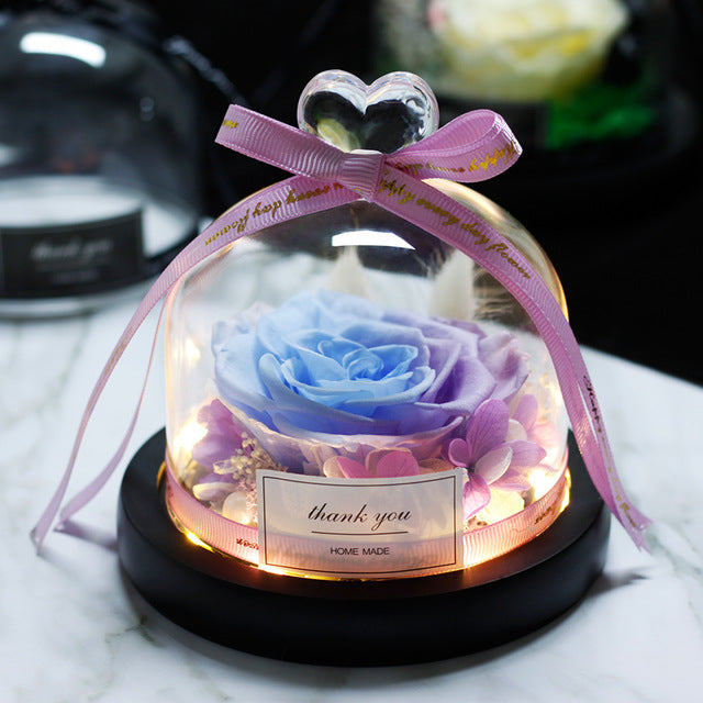 The Beauty and Beast Rose Valentines Day Gift Eternal Rose With Night Light in Glass Dome Birthday Gift