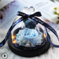 The Beauty and Beast Rose Valentines Day Gift Eternal Rose With Night Light in Glass Dome Birthday Gift