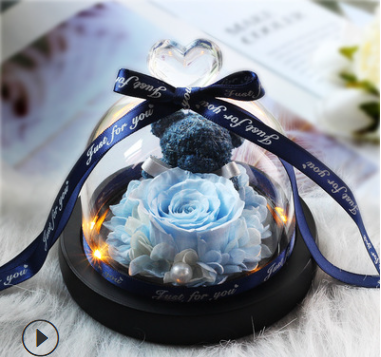 The Beauty and Beast Rose Valentines Day Gift Eternal Rose With Night Light in Glass Dome Birthday Gift