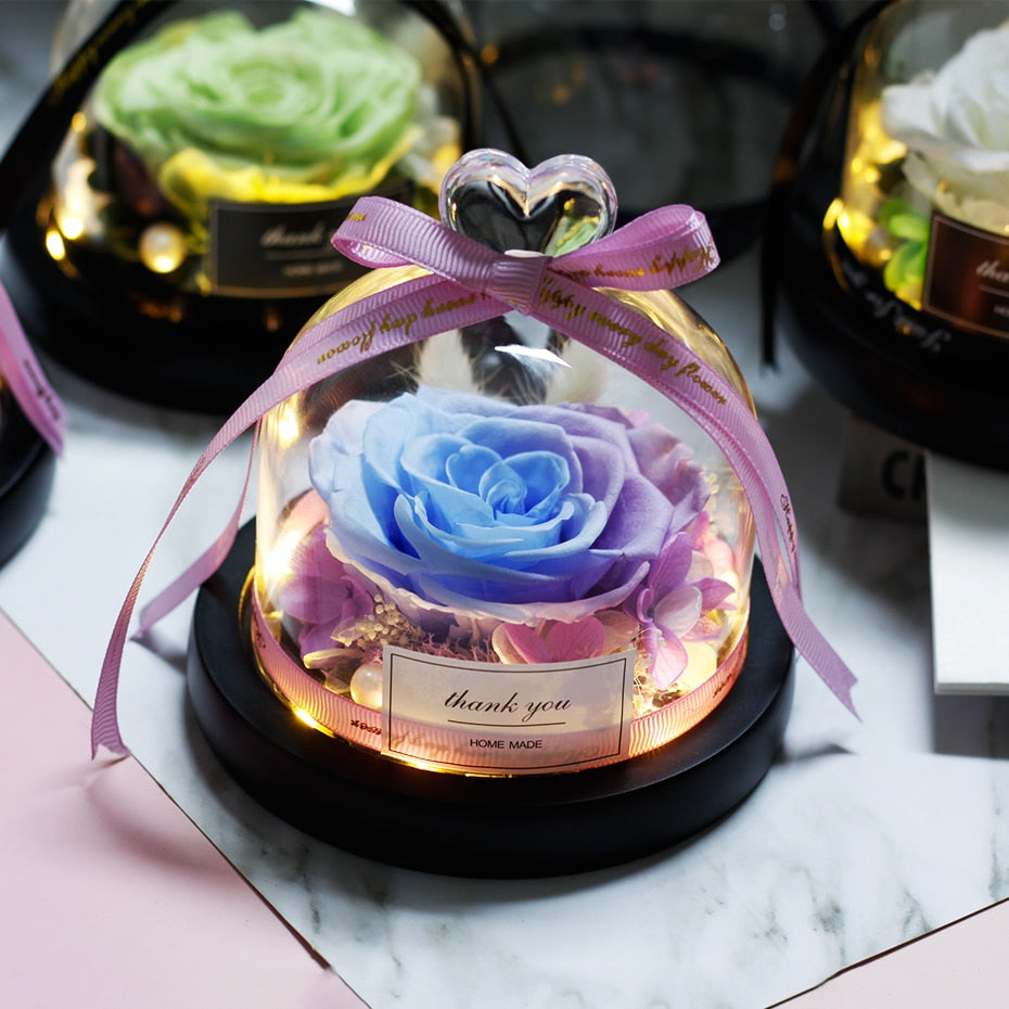 The Beauty and Beast Rose Valentines Day Gift Eternal Rose With Night Light in Glass Dome Birthday Gift