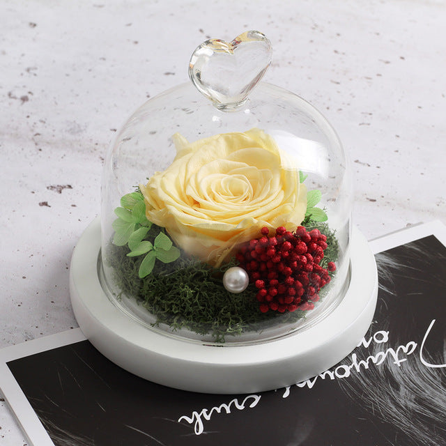 The Beauty and Beast Rose Valentines Day Gift Eternal Rose With Night Light in Glass Dome Birthday Gift