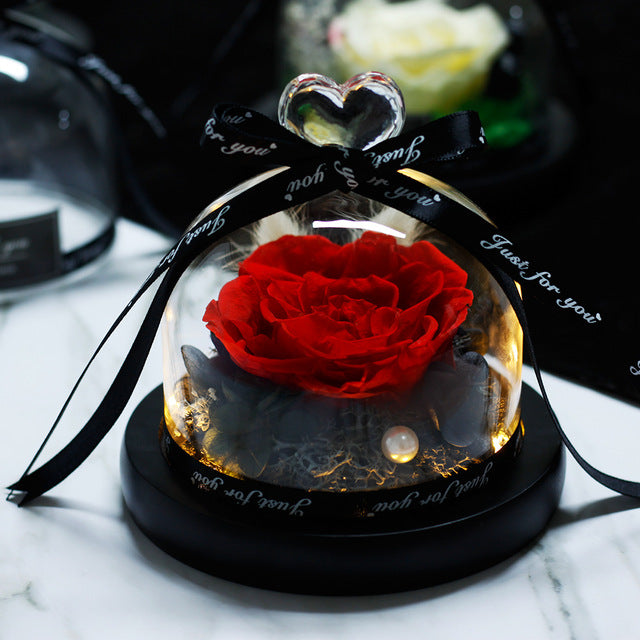 The Beauty and Beast Rose Valentines Day Gift Eternal Rose With Night Light in Glass Dome Birthday Gift