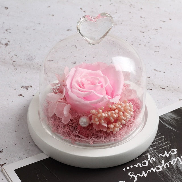 The Beauty and Beast Rose Valentines Day Gift Eternal Rose With Night Light in Glass Dome Birthday Gift