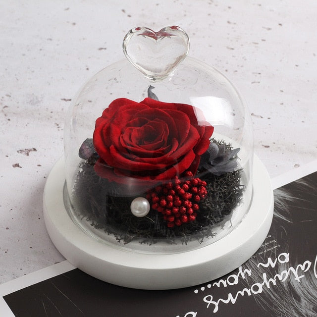 The Beauty and Beast Rose Valentines Day Gift Eternal Rose With Night Light in Glass Dome Birthday Gift