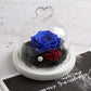 The Beauty and Beast Rose Valentines Day Gift Eternal Rose With Night Light in Glass Dome Birthday Gift
