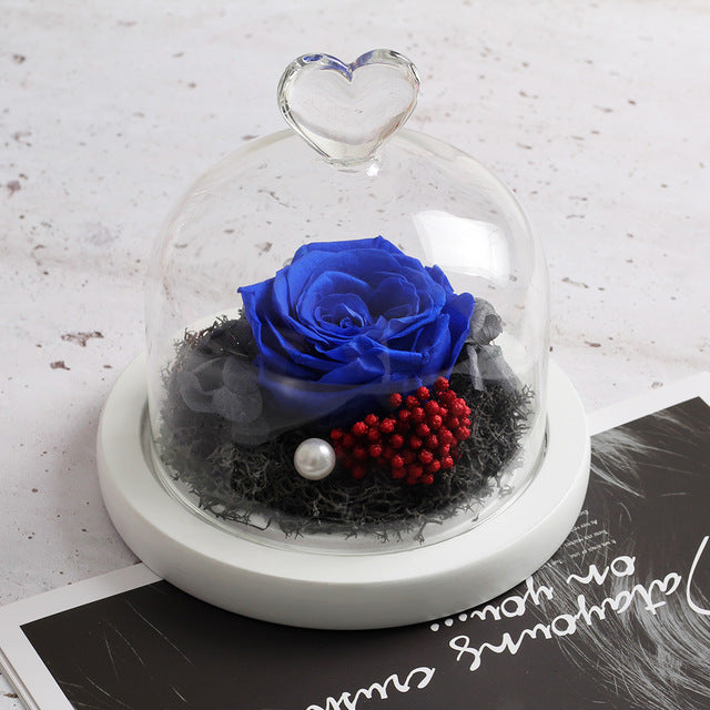 The Beauty and Beast Rose Valentines Day Gift Eternal Rose With Night Light in Glass Dome Birthday Gift