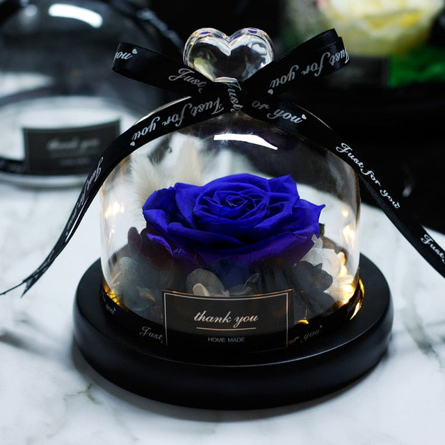 The Beauty and Beast Rose Valentines Day Gift Eternal Rose With Night Light in Glass Dome Birthday Gift