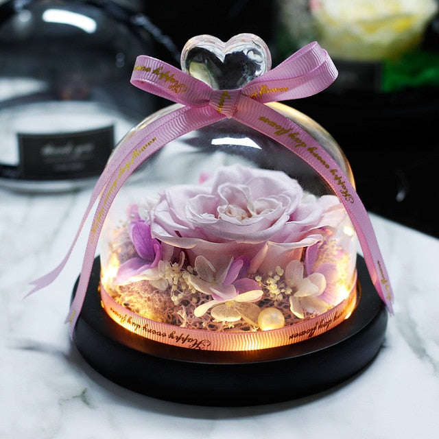 The Beauty and Beast Rose Valentines Day Gift Eternal Rose With Night Light in Glass Dome Birthday Gift