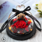 The Beauty and Beast Rose Valentines Day Gift Eternal Rose With Night Light in Glass Dome Birthday Gift