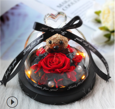 The Beauty and Beast Rose Valentines Day Gift Eternal Rose With Night Light in Glass Dome Birthday Gift