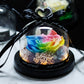 The Beauty and Beast Rose Valentines Day Gift Eternal Rose With Night Light in Glass Dome Birthday Gift