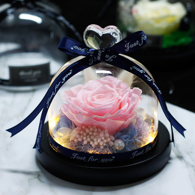 The Beauty and Beast Rose Valentines Day Gift Eternal Rose With Night Light in Glass Dome Birthday Gift