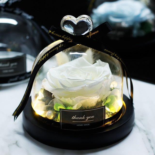 The Beauty and Beast Rose Valentines Day Gift Eternal Rose With Night Light in Glass Dome Birthday Gift