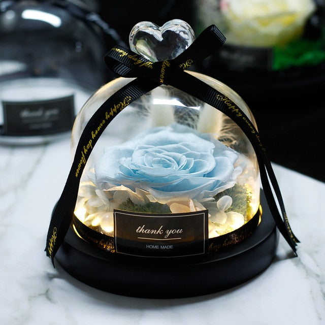 The Beauty and Beast Rose Valentines Day Gift Eternal Rose With Night Light in Glass Dome Birthday Gift