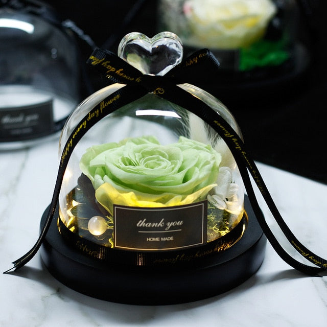 The Beauty and Beast Rose Valentines Day Gift Eternal Rose With Night Light in Glass Dome Birthday Gift