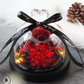 The Beauty and Beast Rose Valentines Day Gift Eternal Rose With Night Light in Glass Dome Birthday Gift