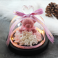 The Beauty and Beast Rose Valentines Day Gift Eternal Rose With Night Light in Glass Dome Birthday Gift
