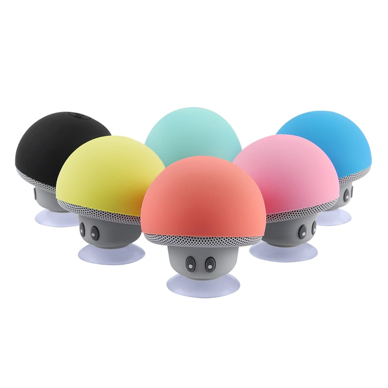 Mini Bluetooth Speaker