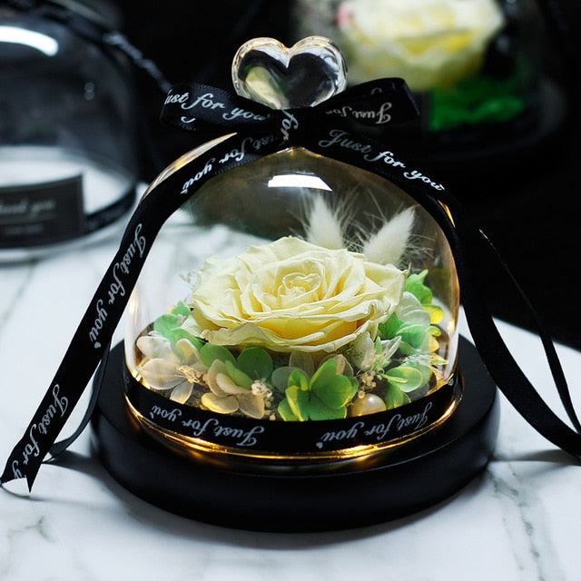 The Beauty and Beast Rose Valentines Day Gift Eternal Rose With Night Light in Glass Dome Birthday Gift