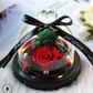 The Beauty and Beast Rose Valentines Day Gift Eternal Rose With Night Light in Glass Dome Birthday Gift