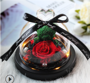 The Beauty and Beast Rose Valentines Day Gift Eternal Rose With Night Light in Glass Dome Birthday Gift