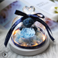 The Beauty and Beast Rose Valentines Day Gift Eternal Rose With Night Light in Glass Dome Birthday Gift