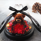 The Beauty and Beast Rose Valentines Day Gift Eternal Rose With Night Light in Glass Dome Birthday Gift