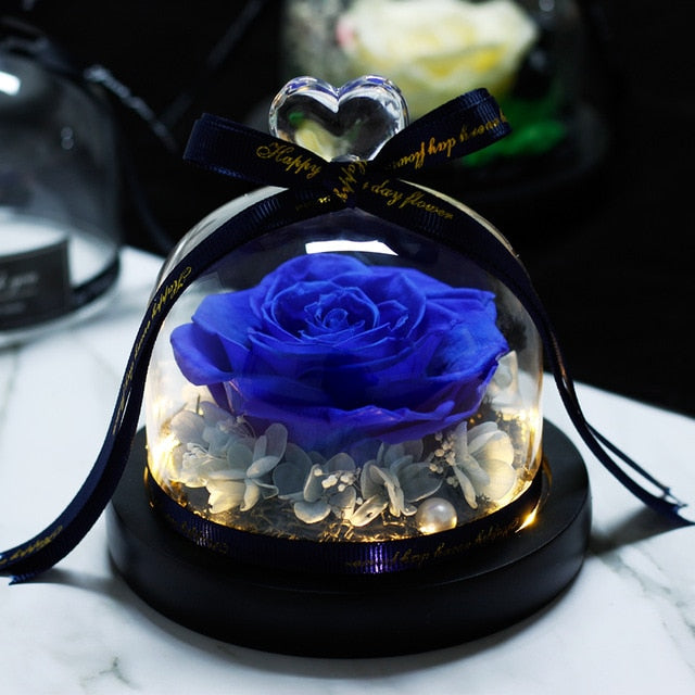 The Beauty and Beast Rose Valentines Day Gift Eternal Rose With Night Light in Glass Dome Birthday Gift