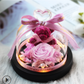 The Beauty and Beast Rose Valentines Day Gift Eternal Rose With Night Light in Glass Dome Birthday Gift