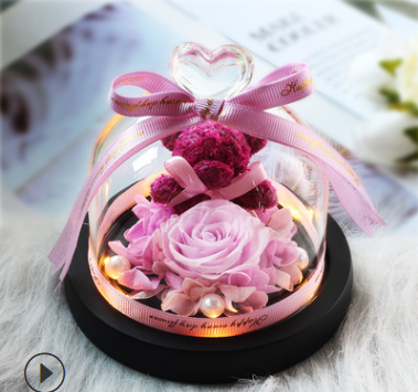 The Beauty and Beast Rose Valentines Day Gift Eternal Rose With Night Light in Glass Dome Birthday Gift