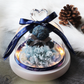 The Beauty and Beast Rose Valentines Day Gift Eternal Rose With Night Light in Glass Dome Birthday Gift