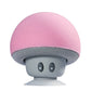 Mini Bluetooth Speaker