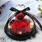 The Beauty and Beast Rose Valentines Day Gift Eternal Rose With Night Light in Glass Dome Birthday Gift