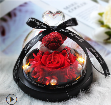 The Beauty and Beast Rose Valentines Day Gift Eternal Rose With Night Light in Glass Dome Birthday Gift