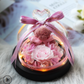 The Beauty and Beast Rose Valentines Day Gift Eternal Rose With Night Light in Glass Dome Birthday Gift