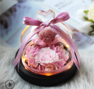 The Beauty and Beast Rose Valentines Day Gift Eternal Rose With Night Light in Glass Dome Birthday Gift