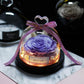 The Beauty and Beast Rose Valentines Day Gift Eternal Rose With Night Light in Glass Dome Birthday Gift