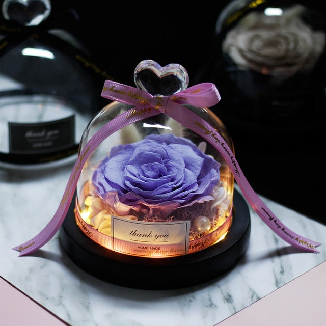 The Beauty and Beast Rose Valentines Day Gift Eternal Rose With Night Light in Glass Dome Birthday Gift